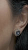 Sapphire Earrings